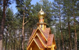 Купол часовни в пригороде Киева